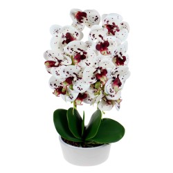 Orhidee 2 fire cu aspect natural in ghiveci oval ceramica alb, H 50 cm / SL261-Alb-Grena