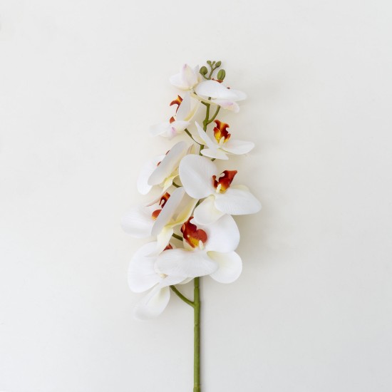Fir orhidee artificiala, 9 flori, culoare alb + mijlocul maro, H 97 cm, B.S.P. / CD2012_2