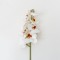 Fir orhidee artificiala, 9 flori, culoare alb + mijlocul maro, H 97 cm, B.S.P. / CD2012_2