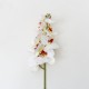 Fir orhidee artificiala, 9 flori, culoare alb + mijlocul maro, H 97 cm, B.S.P. / CD2012_2