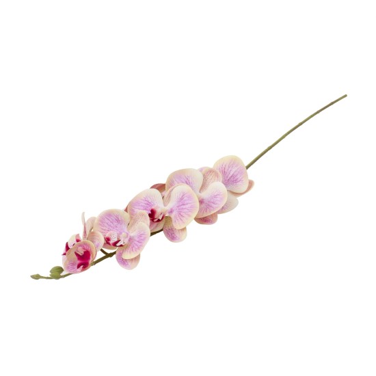 Fir orhidee artificiala, 9 flori, culoare roz pestrit, H 97 cm, B.S.P. / CD2012_3