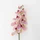 Fir orhidee artificiala, 9 flori, culoare roz pestrit, H 97 cm, B.S.P. / CD2012_3