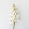 Fir orhidee artificiala, 9 flori, culoare alb, H 97 cm, B.S.P. / CD2012_1