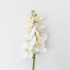 Fir orhidee artificiala, 9 flori, culoare alb, H 97 cm, B.S.P. / CD2012_1
