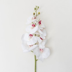 Fir orhidee artificiala, 9 flori, culoare alb, H 100 cm, B.S.P. / CD2013_2