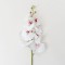 Fir orhidee artificiala, 9 flori, culoare alb, H 100 cm, B.S.P. / CD2013_2