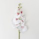 Fir orhidee artificiala, 9 flori, culoare alb, H 100 cm, B.S.P. / CD2013_2