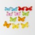 Set 12 fluturi , mix de culori, 6x7 cm, B.S.P. / CD2298