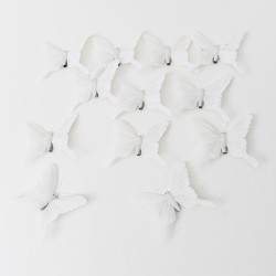 Set 12 fluturi , culoare alb, 7x9 cm, B.S.P. / CD2299