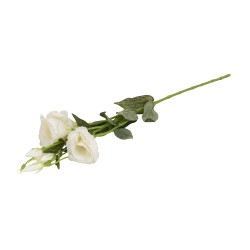 Fir lisiantus, culoare alb, H 80 cm, B.S.P. / CD2448_1