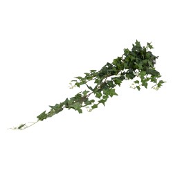 Buchet iedera curgatoare, H 100 cm, B.S.P. / CD2481