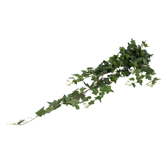 Buchet iedera curgatoare, H 100 cm, B.S.P. / CD2481
