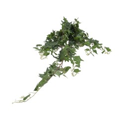 Buchet iedera curgatoare, H 100 cm, B.S.P. / CD2481