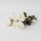 Buchet 6 flori artificiale, H 30, culoare alb, B.S.P. / CD3292_1