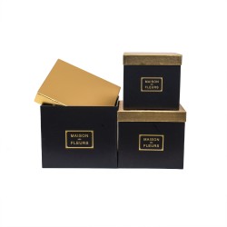 Set 3 cutii cu forma patrata / CD3317_Negru