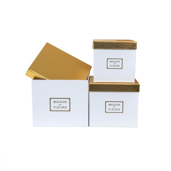 Set 3 cutii cu forma patrata / CD3317_Alb