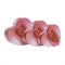 Set 3 cutii in forma de inima, cu model / CD4416_1