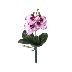 Fir orhidee cu radacina, inaltime 30cm / CD4501_Violet