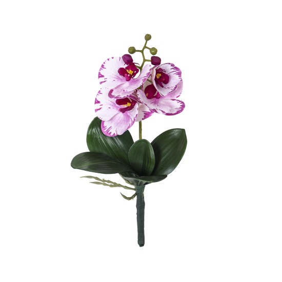 Fir orhidee cu radacina, inaltime 30cm / CD4501_Violet