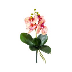 Fir orhidee cu radacina, inaltime 30cm / CD4501_Portocaliu