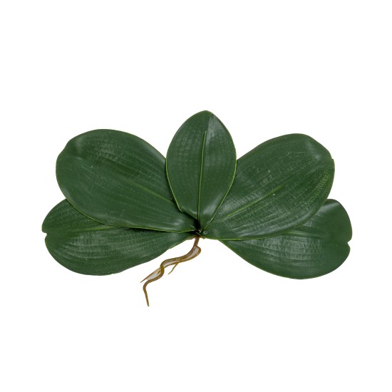 Frunza orhidee artificiala, culoare verde, 20x10 cm, B.S.P. / CD4505