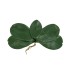 Frunza orhidee artificiala, culoare verde, 20x10 cm, B.S.P. / CD4505