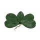 Frunza orhidee artificiala, culoare verde, 20x10 cm, B.S.P. / CD4505