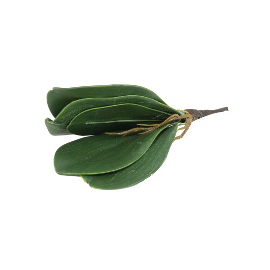 Frunza orhidee artificiala, culoare verde, 20x10 cm, B.S.P. / CD4505