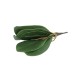 Frunza orhidee artificiala, culoare verde, 20x10 cm, B.S.P. / CD4505