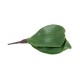 Frunza orhidee artificiala, culoare verde, 20x10 cm, B.S.P. / CD4505