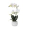 Orhidee cu aspect natural in ghiveci ceramic alb, H 38 cm/ SL265_A