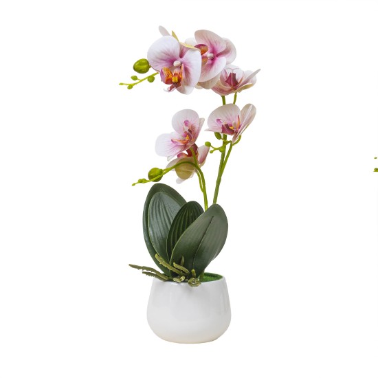Orhidee cu aspect natural in ghiveci ceramic alb, H 38 cm/ SL265_RP