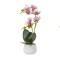 Orhidee cu aspect natural in ghiveci ceramic alb, H 38 cm/ SL265_RP