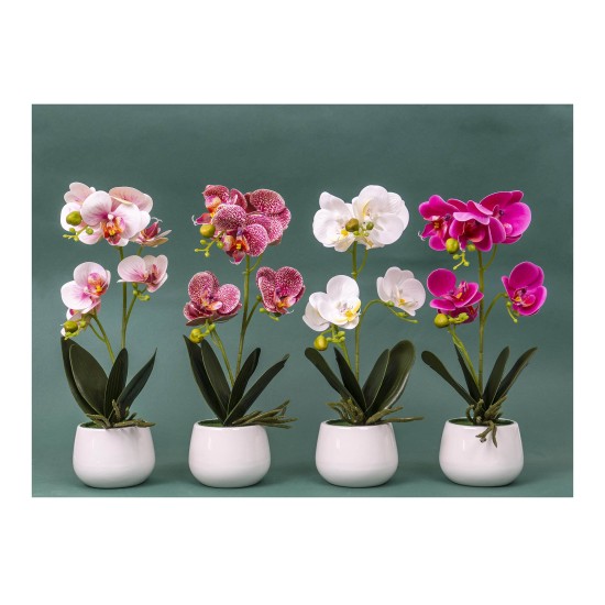 Orhidee cu aspect natural in ghiveci ceramic alb, H 38 cm/ SL265_RP