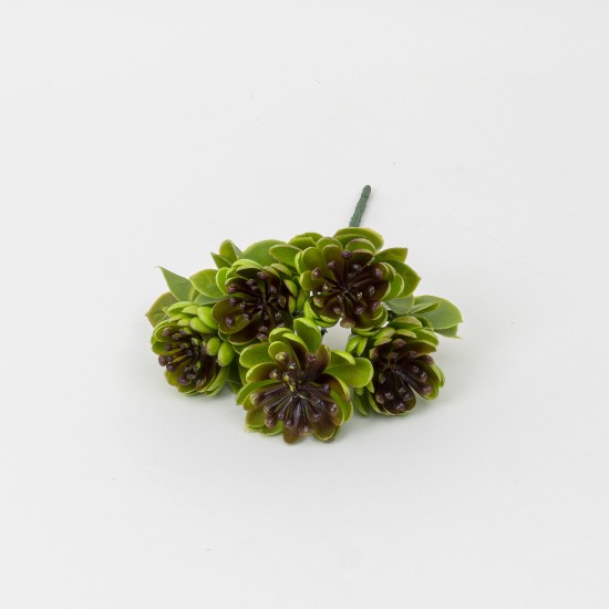 Buchet suculent artificial, culoare maro, H 27 cm, B.S.P. / CD4606_3