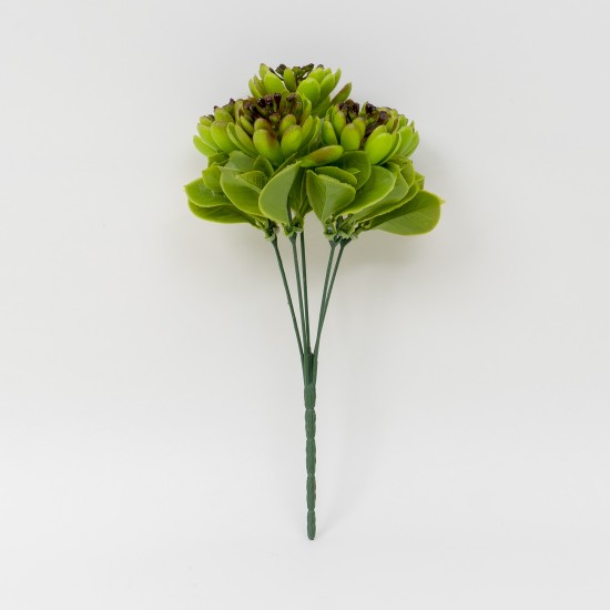 Buchet suculent artificial, culoare maro, H 27 cm, B.S.P. / CD4606_3