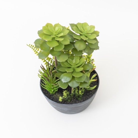 Decoratiune artificiala, verdeata in ghiveci plastic H 26 cm, B.S.P. / CD4611