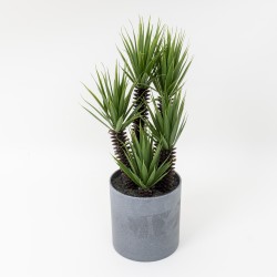 Decoratiune artificiala, verdeata in ghiveci plastic H 42 cm, B.S.P. / CD4613