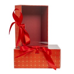 Set 2 cutii cu forma dreptunghiulara, alb / CD4921_rosu