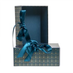 Set 2 cutii cu forma dreptunghiulara, albastru / CD4921_albastru