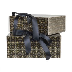 Set 2 cutii cu forma dreptunghiulara, albastru / CD4921_negru