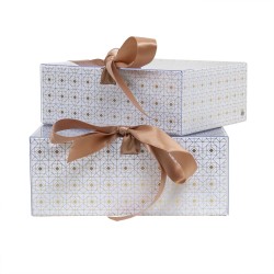 Set 2 cutii cu forma dreptunghiulara, alb / CD4921_alb