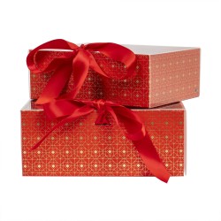 Set 2 cutii cu forma dreptunghiulara, alb / CD4921_rosu