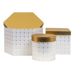Set 3 cutii cu forme diferite si capac auriu, alb / CD4923_Alb