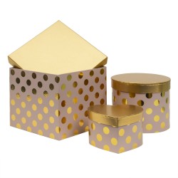 Set 3 cutii cu forme diferite, roz cu buline / CD4957_Roz