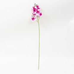 Fir orhidee artificiala cu 8 flori, H 75 cm, B.S.P. / CD5024_1
