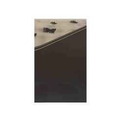 Folie celofan, 20/set, model fluturi, culoare negru, 58x58, B.S.P. / CD5043_1