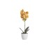 Orhidee cu aspect natural in ghiveci ceramic alb, diametru 8cm, H 32 cm / CD5145_Galben
