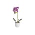 Orhidee cu aspect natural in ghiveci ceramic alb, diametru 8cm, H 32 cm / CD5145_Ciclam