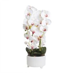 Orhidee cu aspect natural in ghiveci ceramic alb, diametru 22cm, H 70 cm / SL257_R